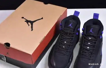 AIR 12 JORDAN “DARK CONCORD” 0610